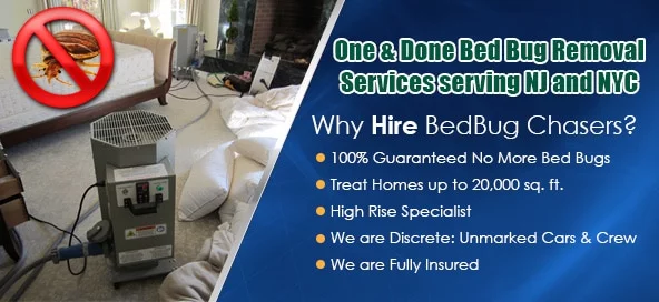 Non-toxic Bed Bug treatment Hell's Kitchen Manhattan, bugs in bed Hell's Kitchen Manhattan, kill Bed Bugs Hell's Kitchen Manhattan