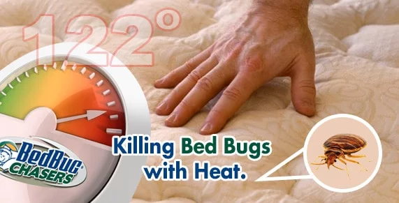 Bed Bug Dog Manhattan, How to get Rid of Bed Bugs Manhattan, Bed Bug Heat Treatment Manhattan, Bed Bug Eggs Manhattan, Bed Bug Exterminator Manhattan, Bed Bug Images Manhattan, Bed Bug Inspection Manhattan, Bed Bug Bites NYC, Bed Bug Pictures NYC, Chemical Free Bed Bug Treatment NYC, Get Rid of Bed Bugs NYC, Bed Bug Spray NYC, What to do Bed Bugs look like NYC, Kill Bed Bugs NYC, Bed Bug Treatment NYC, Bed Bug Dog NYC, How to get Rid of Bed Bugs NYC, Bed Bug Heat Treatment NYC, Bed Bug Eggs NYC, Bed Bug Exterminator NYC, Bed Bug Images NYC, Bed Bug Inspection NYC