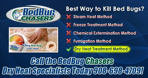 Non-toxic Bed Bug treatment Hell's Kitchen Manhattan, bugs in bed Hell's Kitchen Manhattan, kill Bed Bugs Hell's Kitchen Manhattan