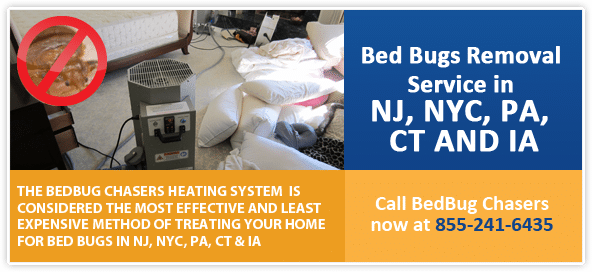 Bed Bug pictures Garment District Manhattan, Bed Bug treatment Garment District Manhattan, Bed Bug heat Garment District Manhattan