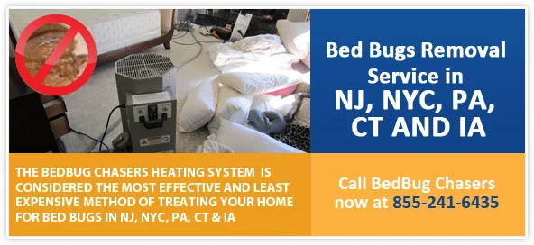 Bed Bug pictures Hell's Kitchen Manhattan, Bed Bug treatment Hell's Kitchen Manhattan, Bed Bug heat Hell's Kitchen Manhattan