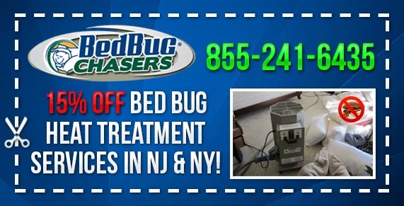 Non-toxic Bed Bug treatment Peter Cooper Village Manhattan, bugs in bed Peter Cooper Village Manhattan, kill Bed Bugs Peter Cooper Village Manhattan