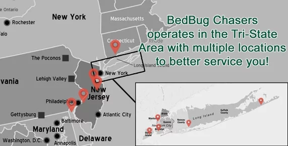 Bed Bug heat treatment Meatpacking District Manhattan, Bed Bug images Meatpacking District Manhattan, Bed Bug exterminator Meatpacking District Manhattan, NYC Bed Bug Exterminator